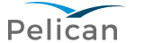 Pelican AI