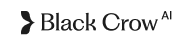 Black Crow AI