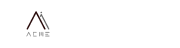 Acme AI