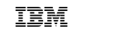 IBM Blockchain Platform