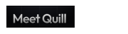 Quill AI