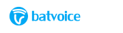 Batvoice AI