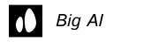 Big AI Consulting