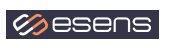ESENS Consulting